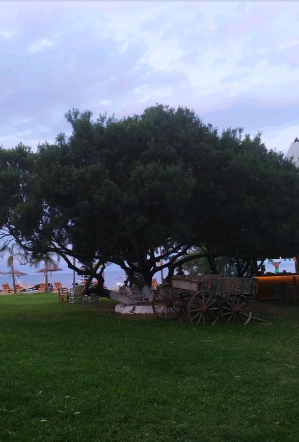 Ariti Luxury Apartment, Никиана Екстериор снимка